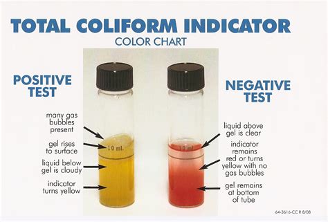 bottled water bacteria test|positive coliform in well water.